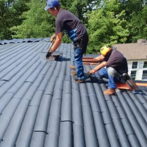 construction, la rénovation et l'entretien de toitures