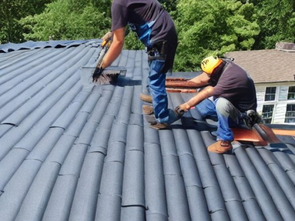 construction, la rénovation et l'entretien de toitures